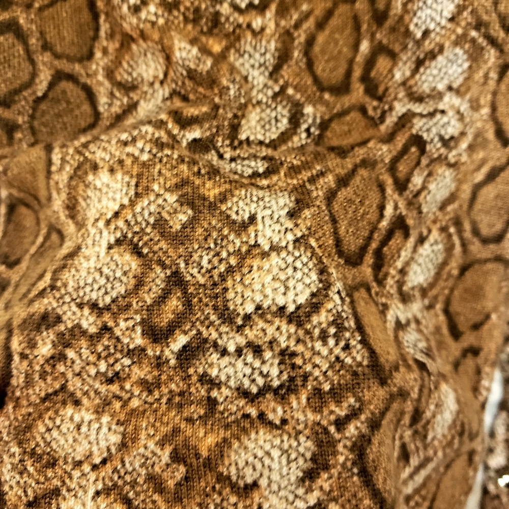 Button Up Snake Print Cardigan